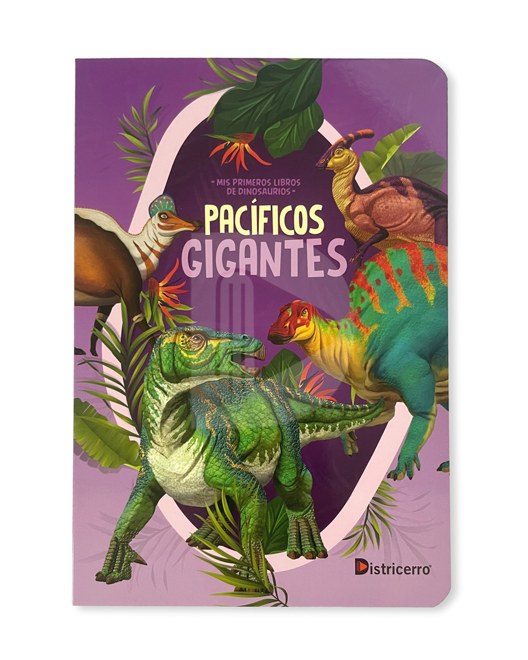 misprimeroslibrodedinosaurios-12