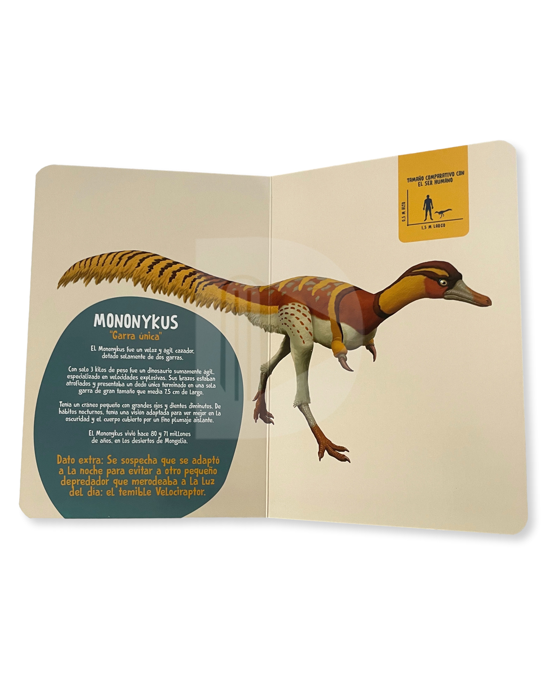 misprimeroslibrodedinosaurios-14